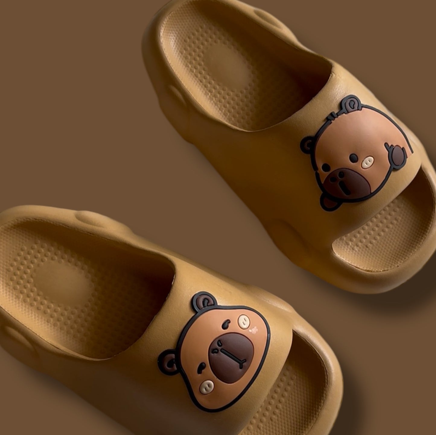 Capybara slippers