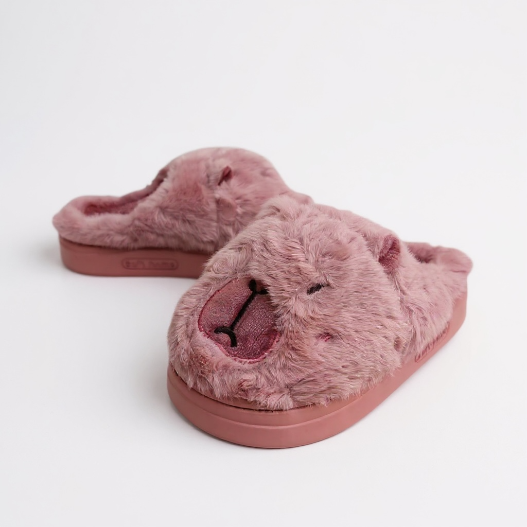 Capybara shoes